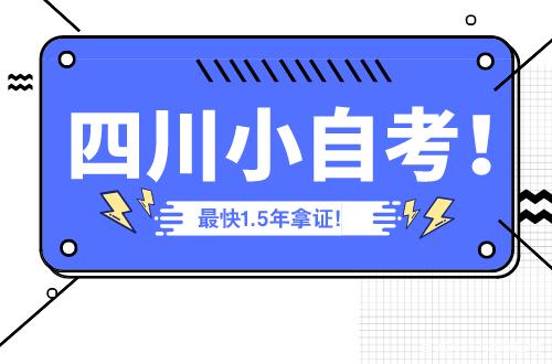 四川小自考一年毕业——自考专科，低学费上岸攻略！成都新概念毛老师一篇文章讲清楚！
