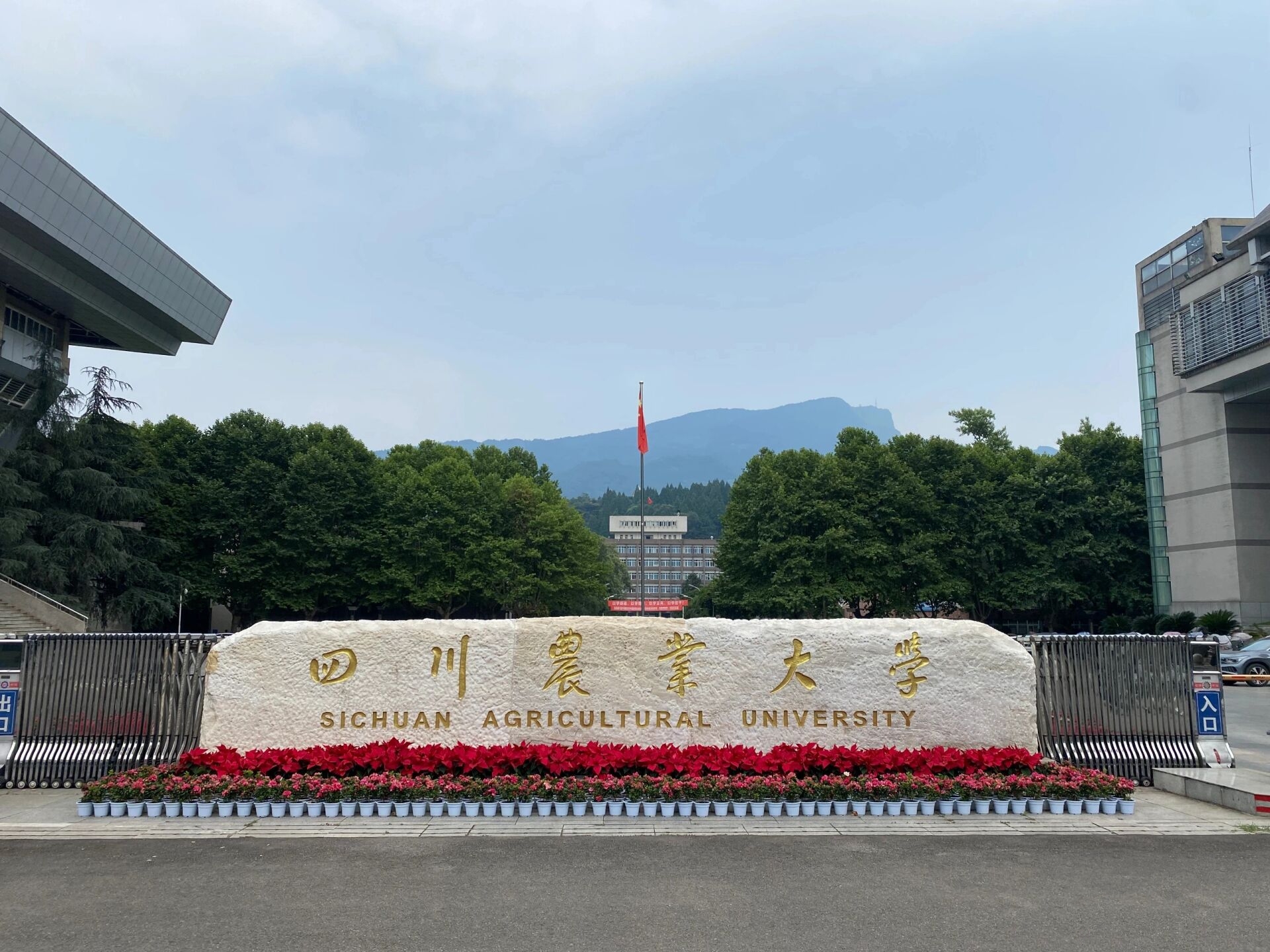 2026年四川农业大学高等教育自学考试（自考）招生简章